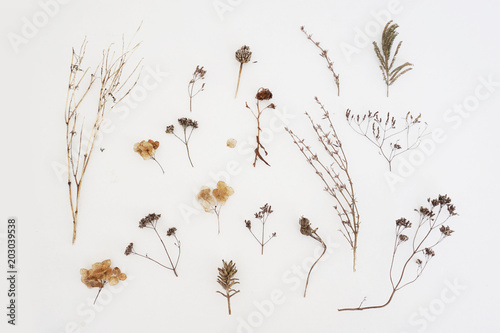 A lot of dried herbs isolated on white background. photo
