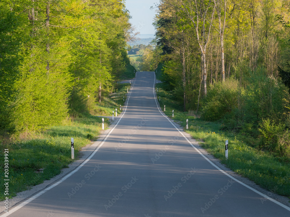 Obraz premium Landstraße im Frühling durch den Wald führend Zentralperspektive