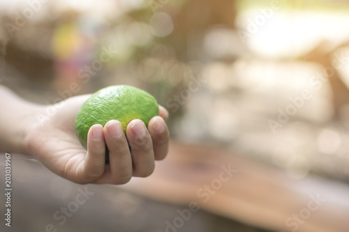 Thai boy holding the green lemon with bokeh background, healthy nature product in agriculture farm. © pattanawadee