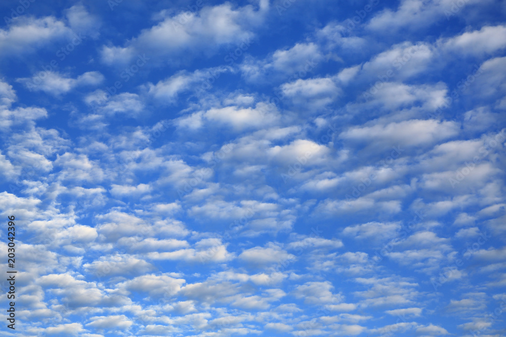 Abstract clouds on the blue sky.