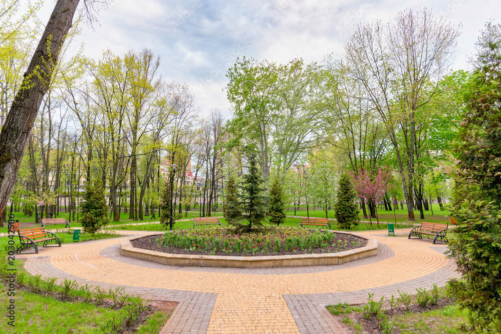 Fototapeta premium A flowerbed with colorful flowers, in the center of a little square in the Natalka park of Kiev, Ukraine, at the beginning of the spring
