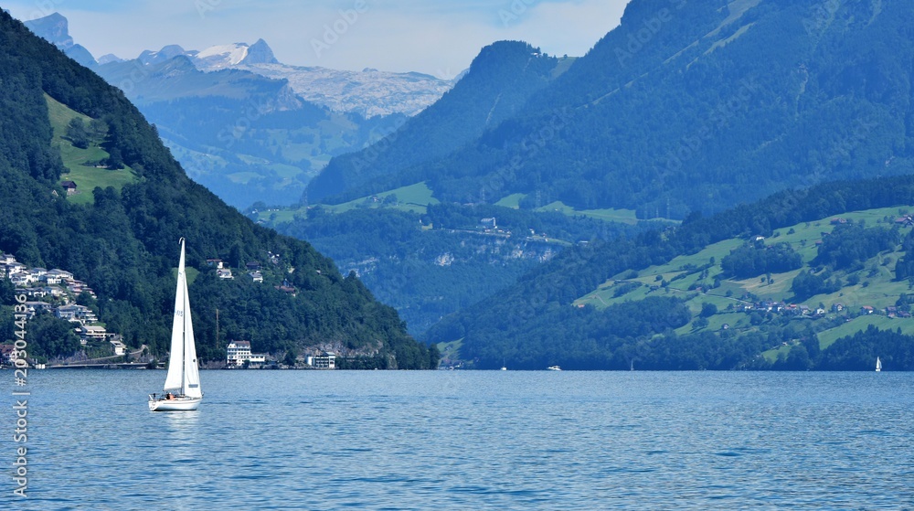 Naklejka premium suisse lacustre
