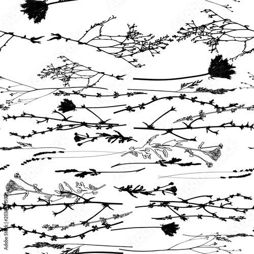 Meadow grasses, herbs and flowers outlines vector seamless pattern.