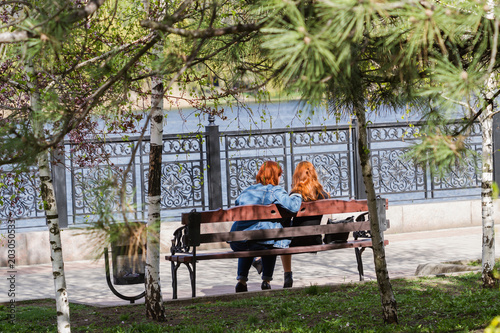 Wallpaper Mural Two young red-haired girls are sitting in the park on the bench. Back view Torontodigital.ca