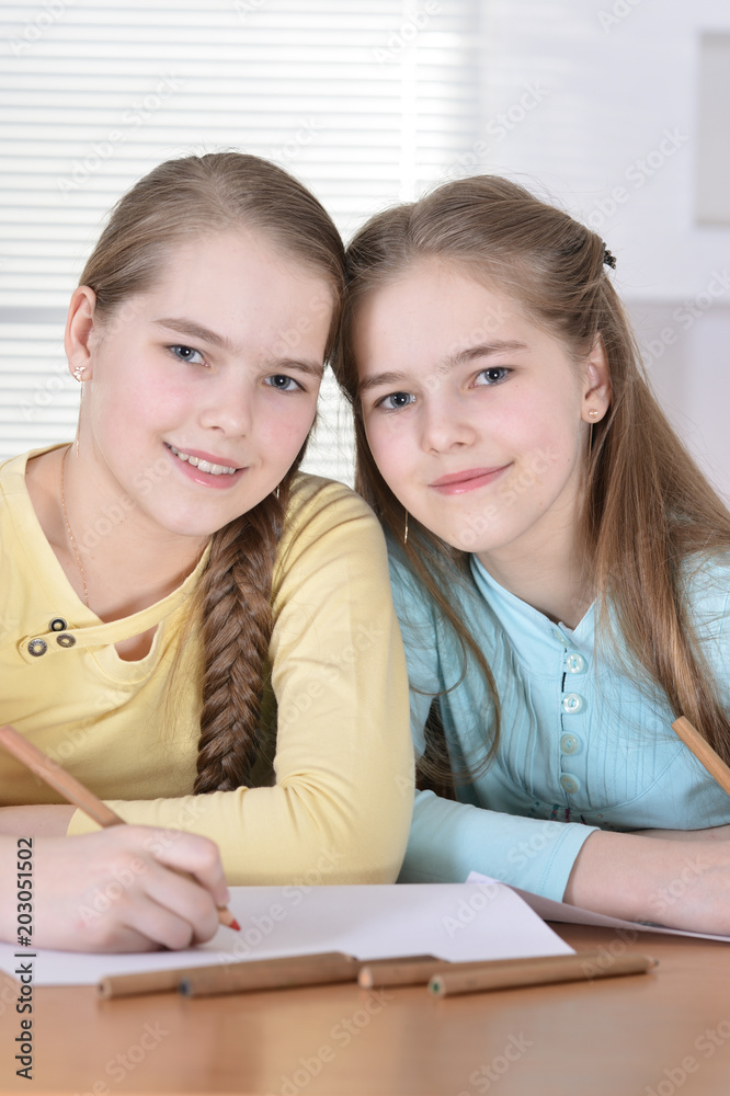 Beautiful girls doing homework