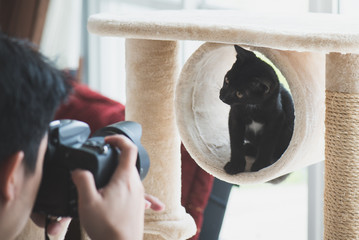 Asian photographer taking a photo of a cat