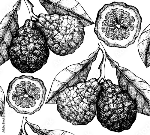 Vector seamless pattern with ink hand drawn citrus fruit, flowers, slice and leaves sketch. Vintage background with bergamot plants.