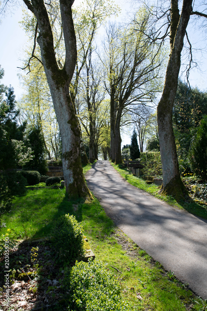 Weg auf einem Bergfriedhof