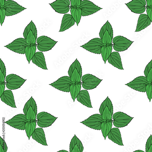 Seamless floral pattern, Nettle wild field flower isolated on white background, hand drawn vector doodle colorful illustration, decor Urtica dioica for design package tea, cosmetic, natural medicine