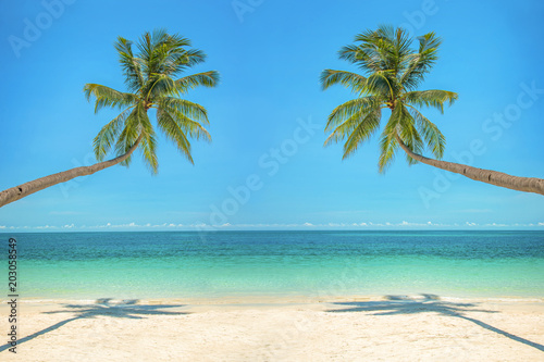 Leaning palm trees over a beach with turquoise sea