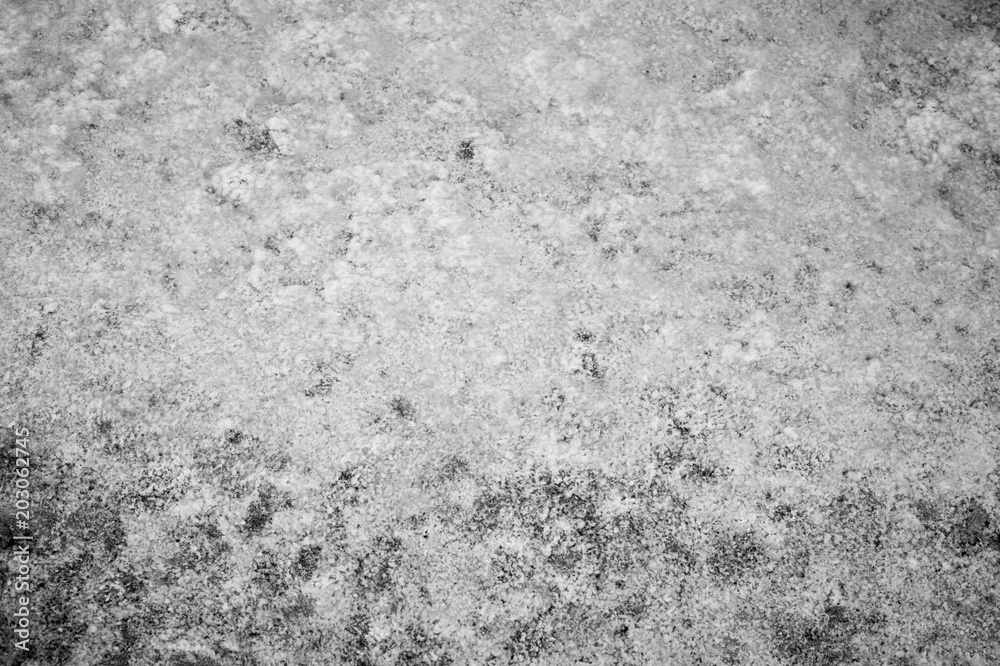 Texture abstraction of water and algae at the bottom of a drained pond. Black and white image.