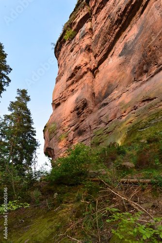 Felsturm Asselstein im Pfälzerwald  photo