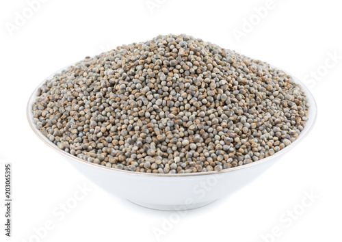 Pearl Millet Seeds Also Know as Bajra, Bajri, Bulrush Millet or Indian Millet Isolated on White Background
