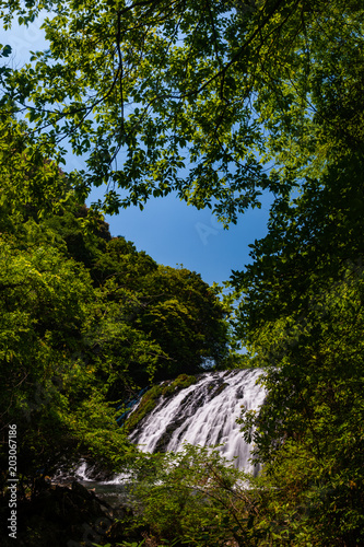 鹿目の滝・平滝 © narutake