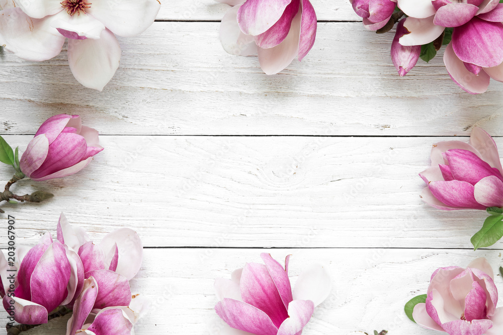 Fototapeta premium Kreatywny układ wykonany z różowe kwiaty magnolii na białym tle drewnianych. Leżał płasko. widok z góry