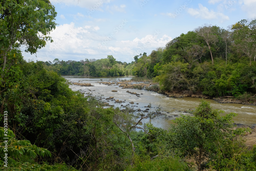 Tropical River