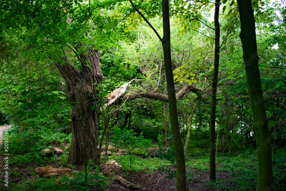 Fototapeta premium Blitz Eisschlag 