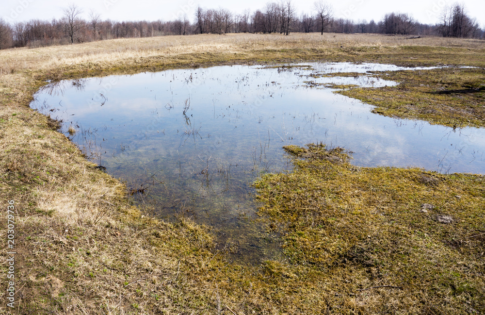 Water floated on dry last year`s grass meadow in spring, hills with gray forest without leaves, blue cloudy sky Water floated on dry last year`s grass meadow in spring, hills with gray forest without leaves, blue cloudy sky