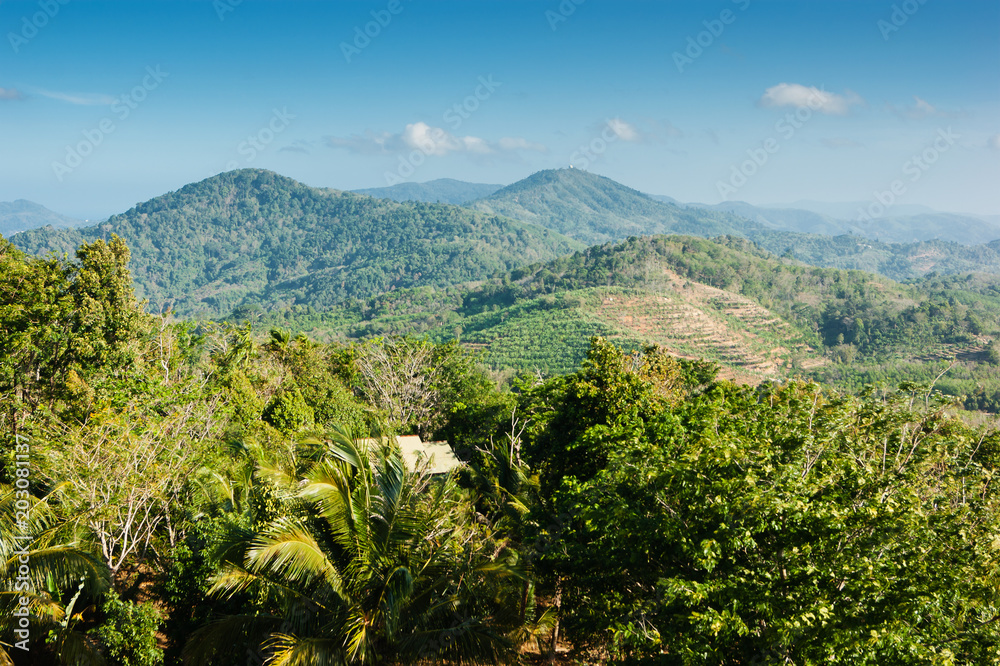 Obraz premium panoramic view from the hill Big Buddha in Phuket Thailand