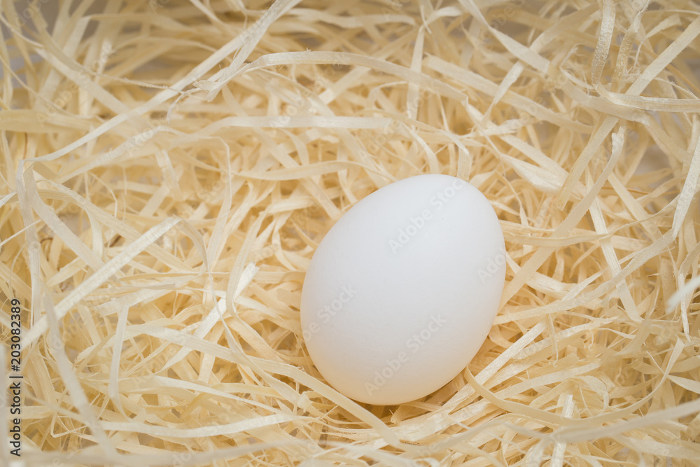 White chicken egg lies on a straw in a nest close up White chicken egg lies on a straw in a nest close up