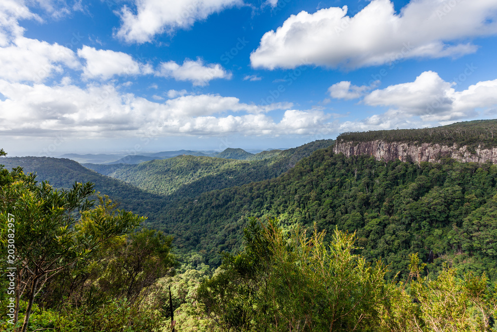 Obraz premium Lush rainforest and rugged cliffs under fluffy white clouds. Springbrook National Park, Queensland, Australia