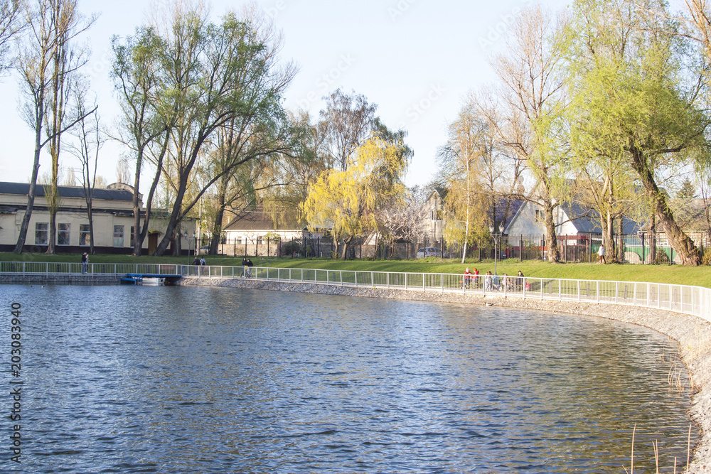 lake in city park lake in city park
