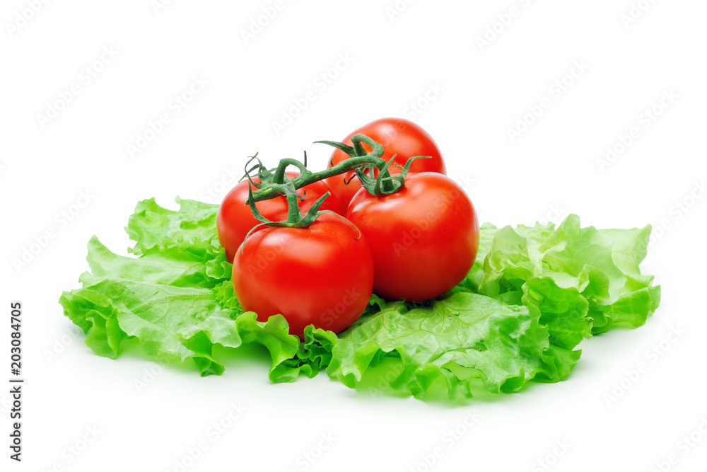 Fresh red tomatoes on lettuce leaves isolated on the white background Fresh red tomatoes on lettuce leaves isolated on the white background