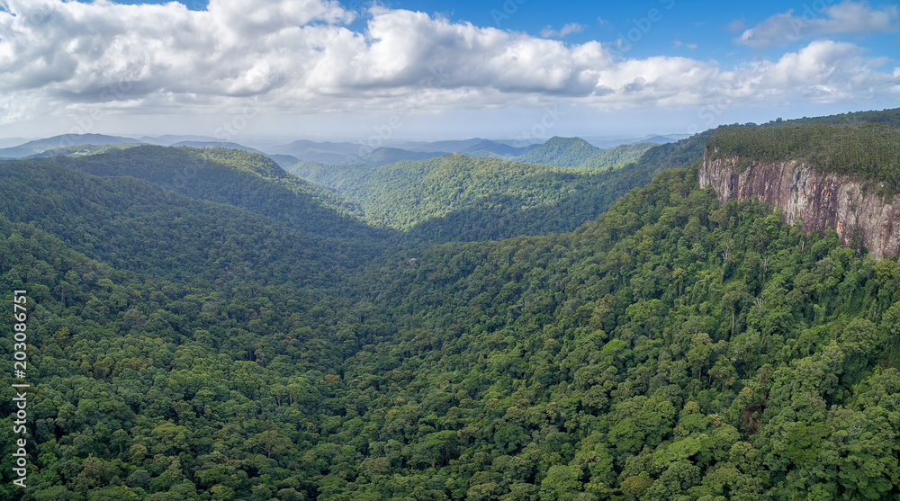 Fototapeta premium Aerial panoramic landscape of Springbrook National Park in Queensland, Australia