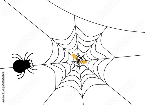 mosquito caught in spider web illustration vector