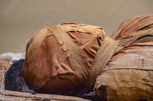 Tela Egyptian mummy head close up detail of