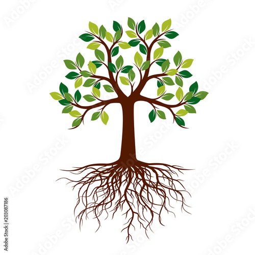 Green Spring Tree. Vector Illustration.