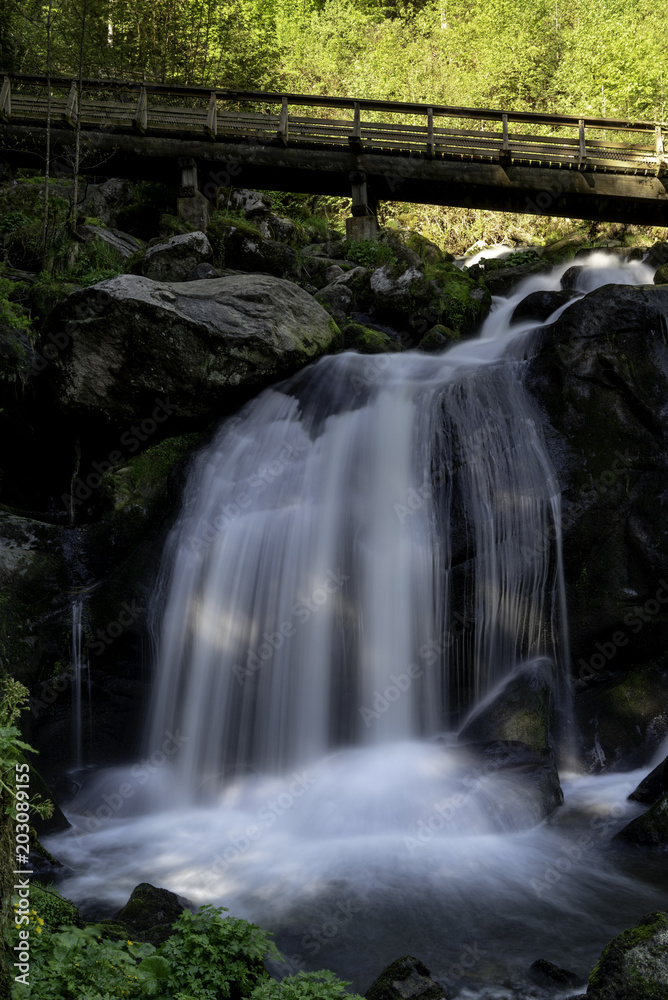 Fototapeta premium Triberg