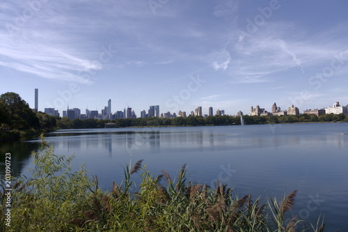 New York  skyline from Central Park
