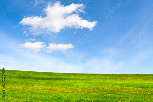 Ecology concept. Meadow and beautiful sky