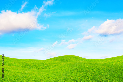 Green summer landscape scenic view