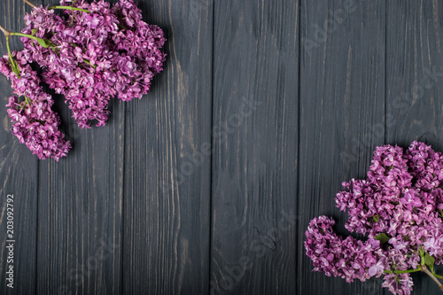 The beautiful lilac flowers on a dark wooden background