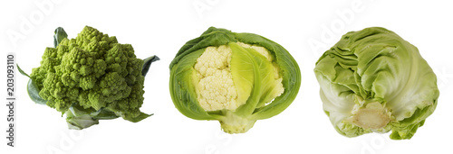 Broccoli, cauliflower and cabbage isolated on white background. with copy space for text. Сabbage with copy space for text. Green food on a white background. Green vegetables isolated on a white. 