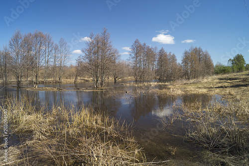 Spring landscape in rural terrain