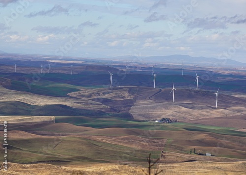 Farm and Wind Farm
