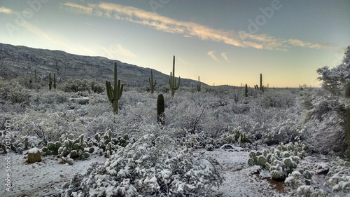 Snow on the desert