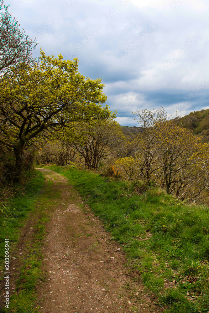 Carriage Road on Heddon Valley, UK. Carriage Road on Heddon Valley, UK.