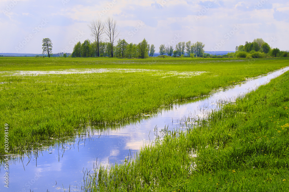 Obraz premium Panoramic view of wetlands covered with early spring green grass and woods in Biebrza River wildlife refuge in north-eastern Poland.