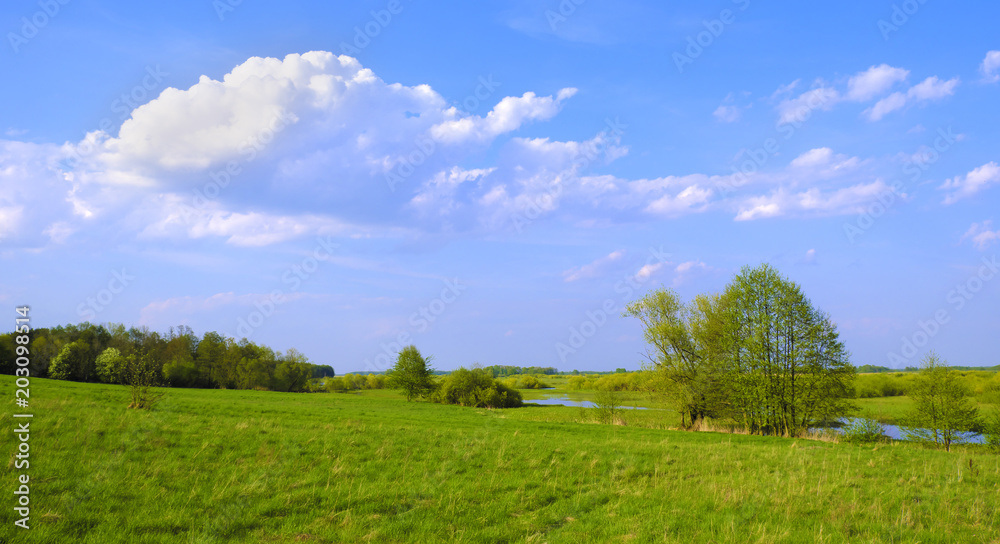 Panoramic view of wetlands covered with early spring green grass and woods in Biebrza River wildlife refuge in north-eastern Poland.