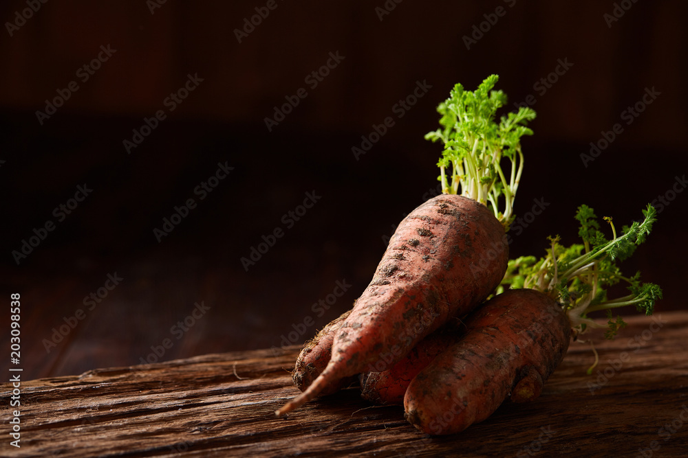 Artistically served vegetable salad with carrot, cucumber, letucce over wooden background, selective focus Artistically served vegetable salad with carrot, cucumber, letucce over wooden background, selective focus