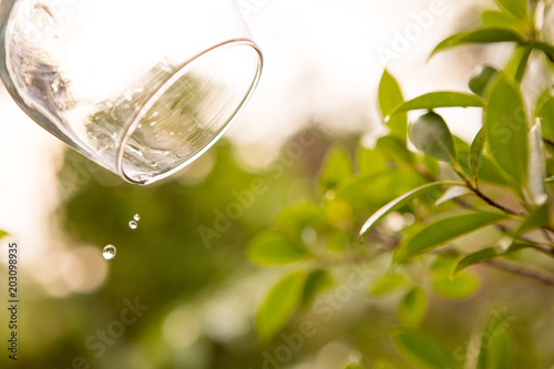 Dripping Water , Drink water in glass over sunlight natural yello background