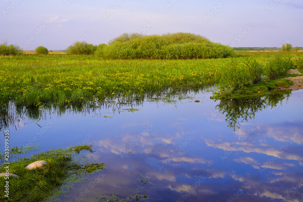 Panoramic view of wetlands covered with early spring green grass and woods in Biebrza River wildlife refuge in north-eastern Poland. Panoramic view of wetlands covered with early spring green grass and woods in Biebrza River wildlife refuge in north-eastern Poland.