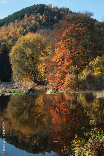 rivière dans la réserve naturelle du sart tilman en ardennes en belgique photo