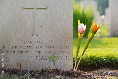 Holten canadian war cemetary photo