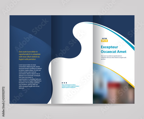 Flyer brochure blue cover layout design print template pamphlet vector Illustration