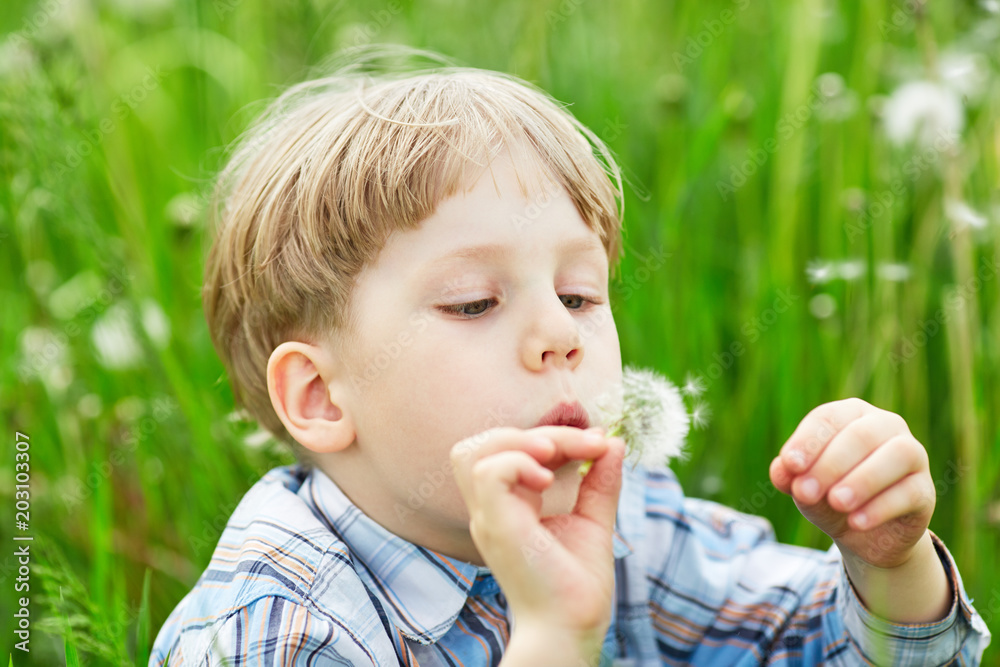 Young blond boy in meadow blowing on dandelion seeds. Summer outdoor Young blond boy in meadow blowing on dandelion seeds. Summer outdoor